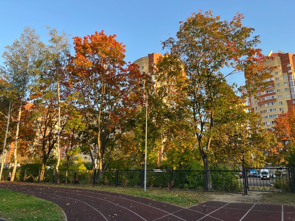 Там же, на вид со стороны школы.