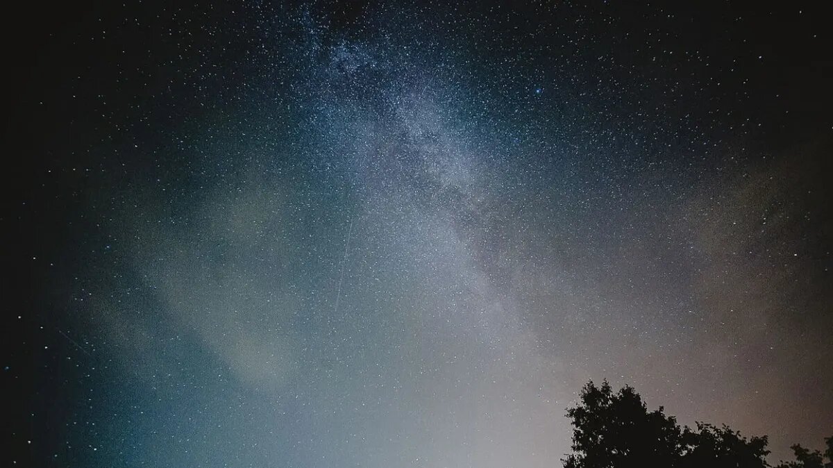 Фото: commons.wikimedia.org / Hikssur