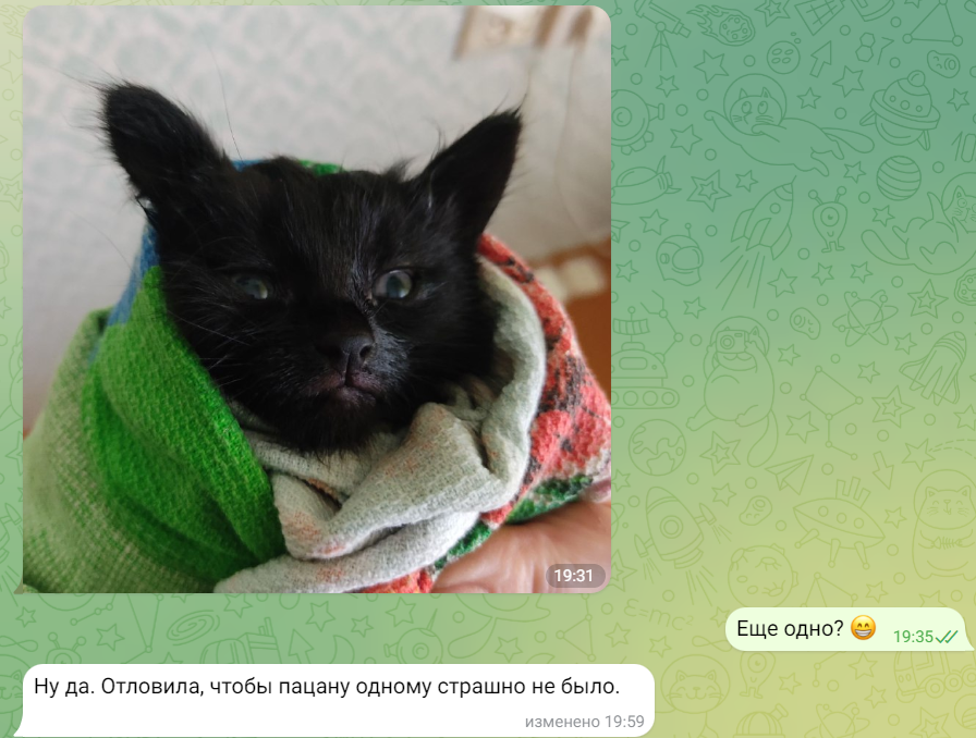 Возможно, будущий Чеша. Или Куба... 