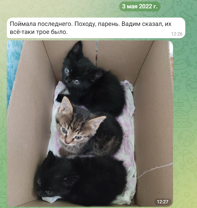 Вся троица подвалышей