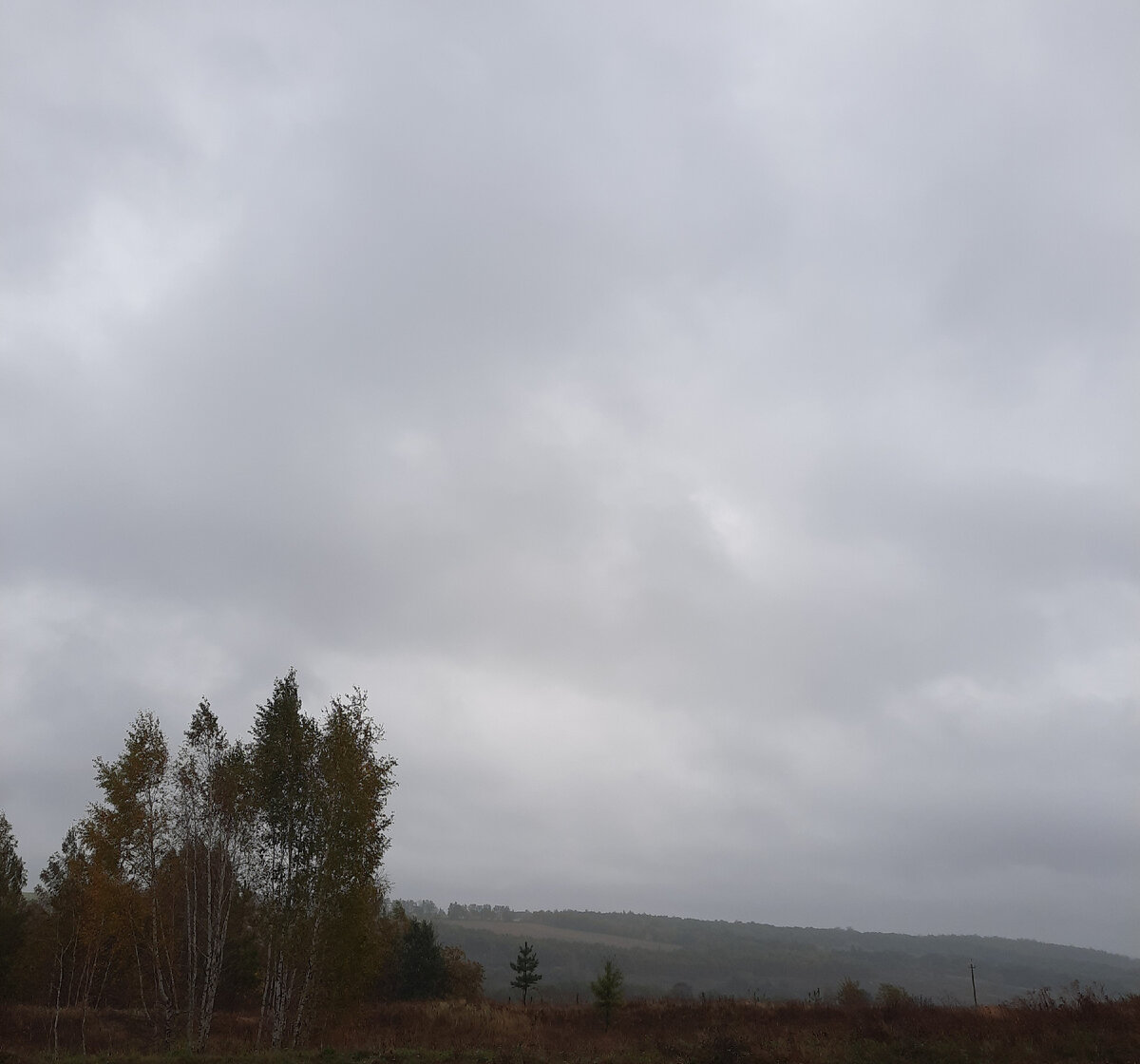 Осенний дождь. Фото автора 