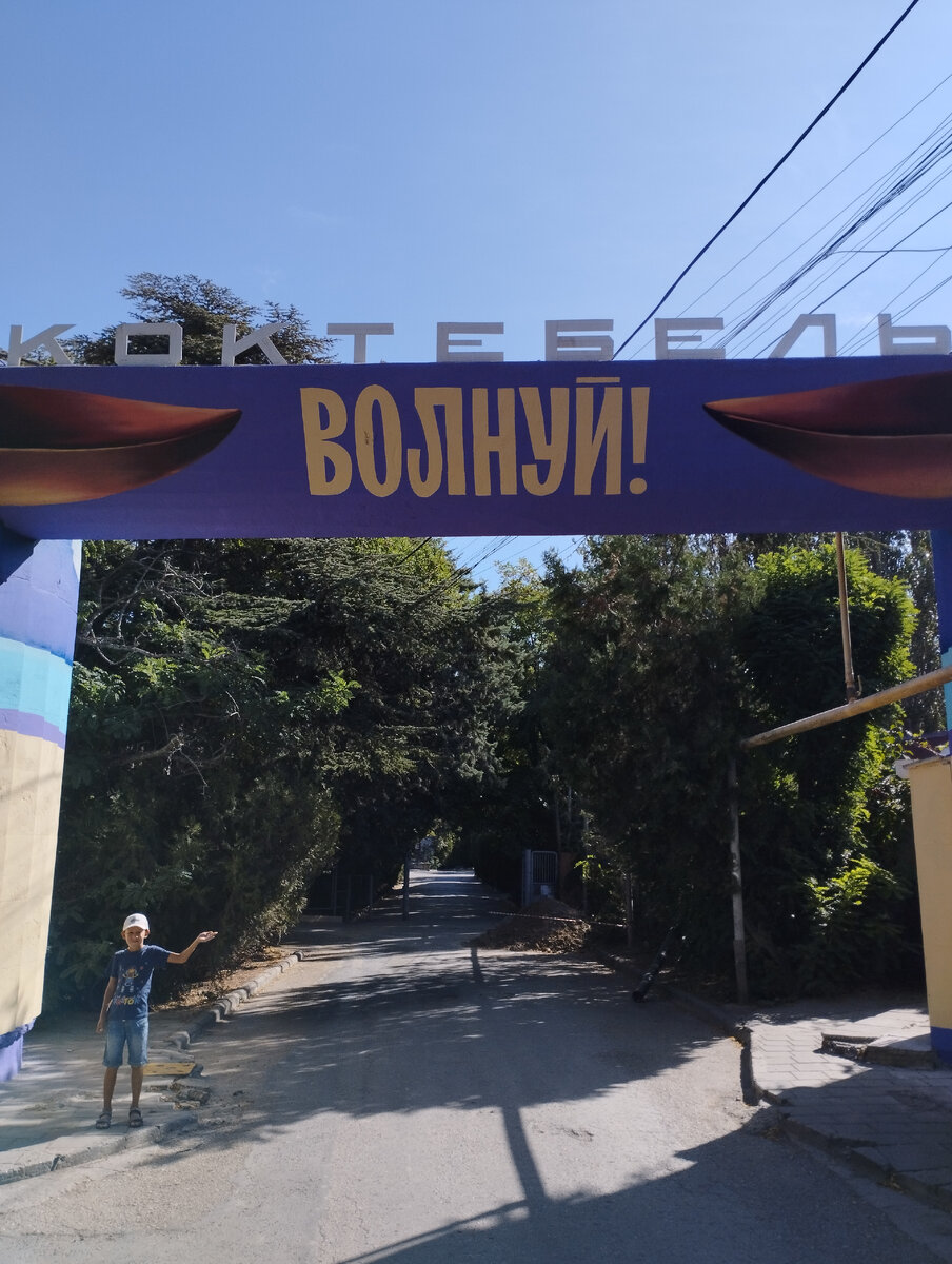 Максимка. Сегодня. Фото автора канала