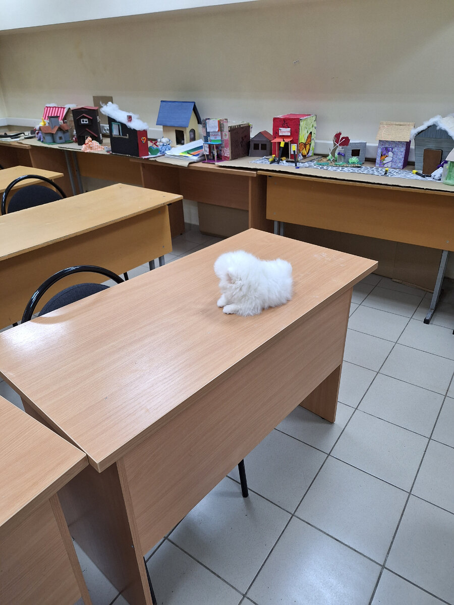 Отвернулась от нас. 