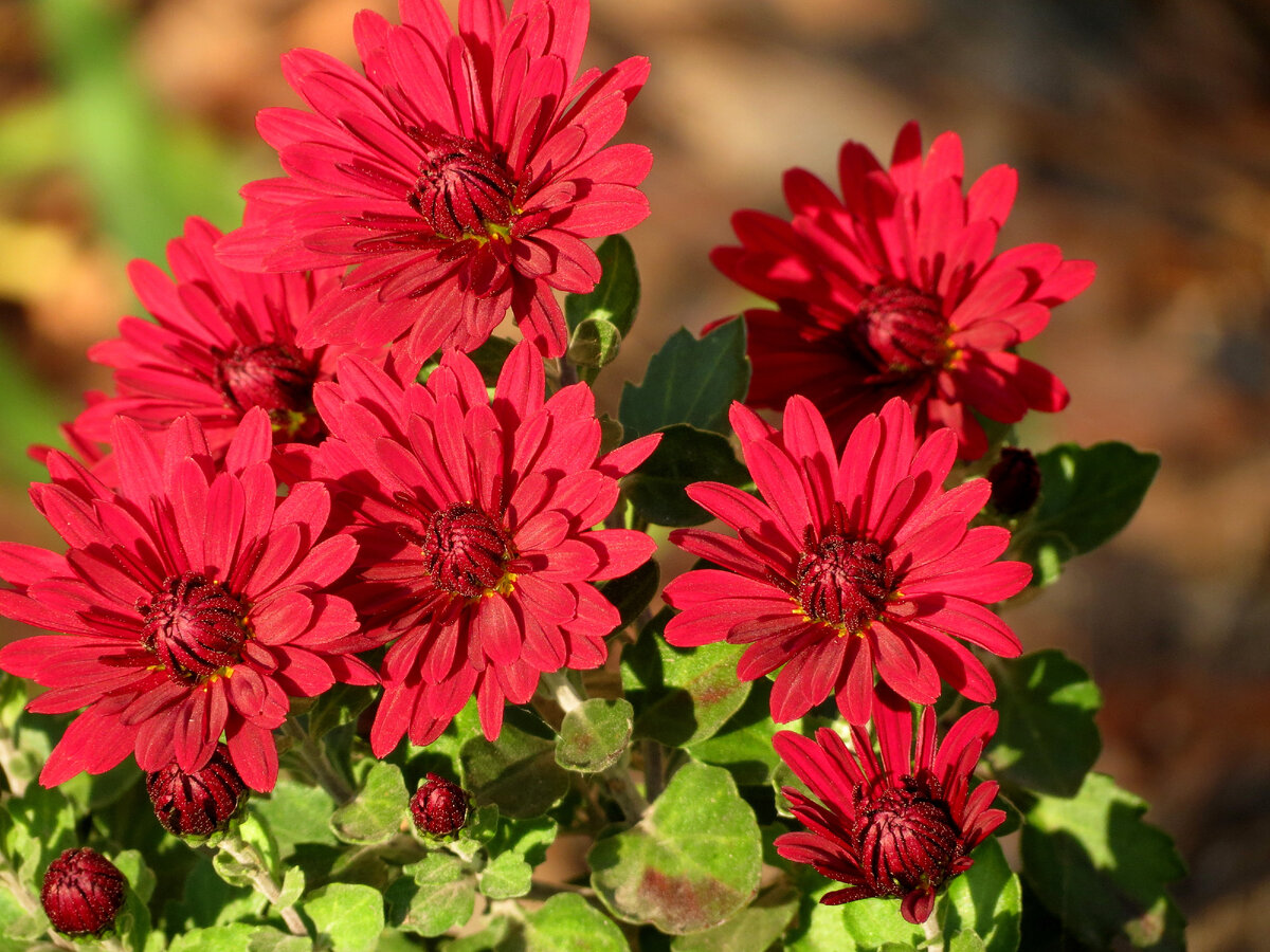 Фото из личного архива