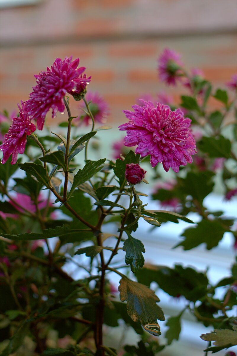 Фото из личного архива