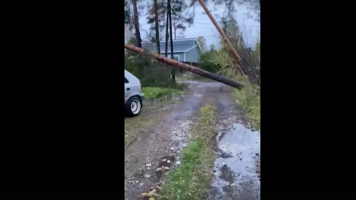     Ветер свалил деревья, которые рухнули на провода: по словам горожан, до ЕДДС невозможно дозвониться.