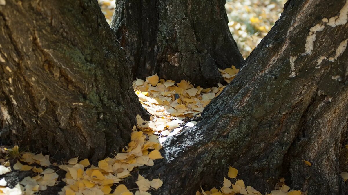     Самые значимые события недели.