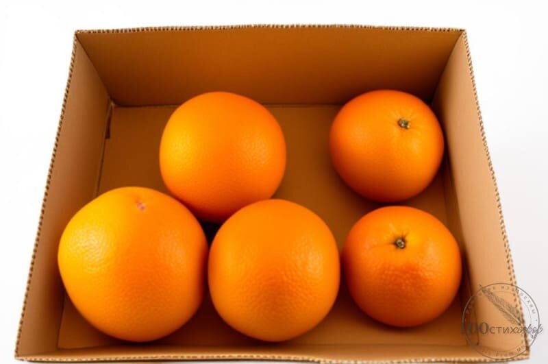 Стих про суетливый дух