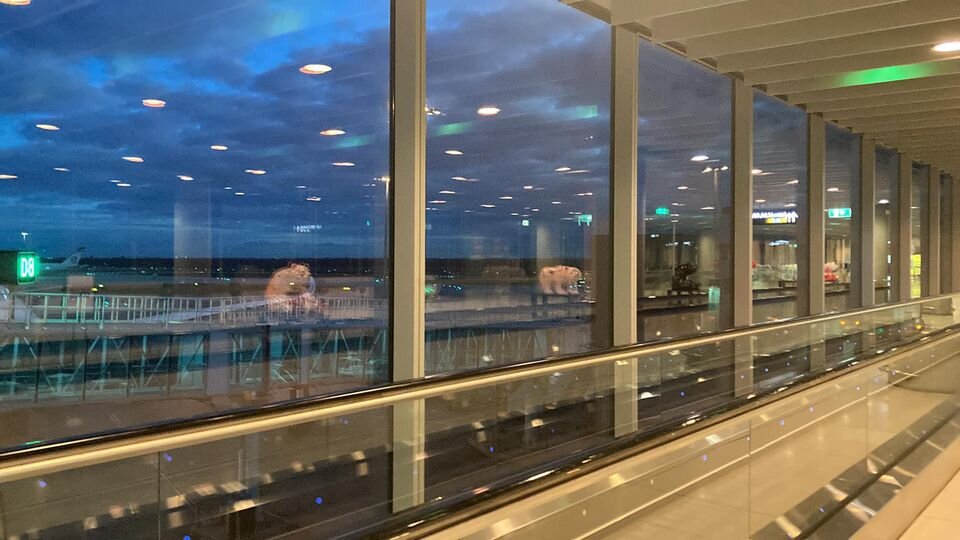 Фото из личного архива автора