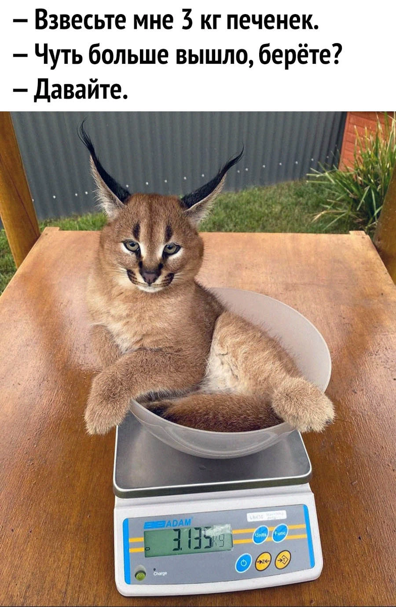 Чуть больше вышел берете ?