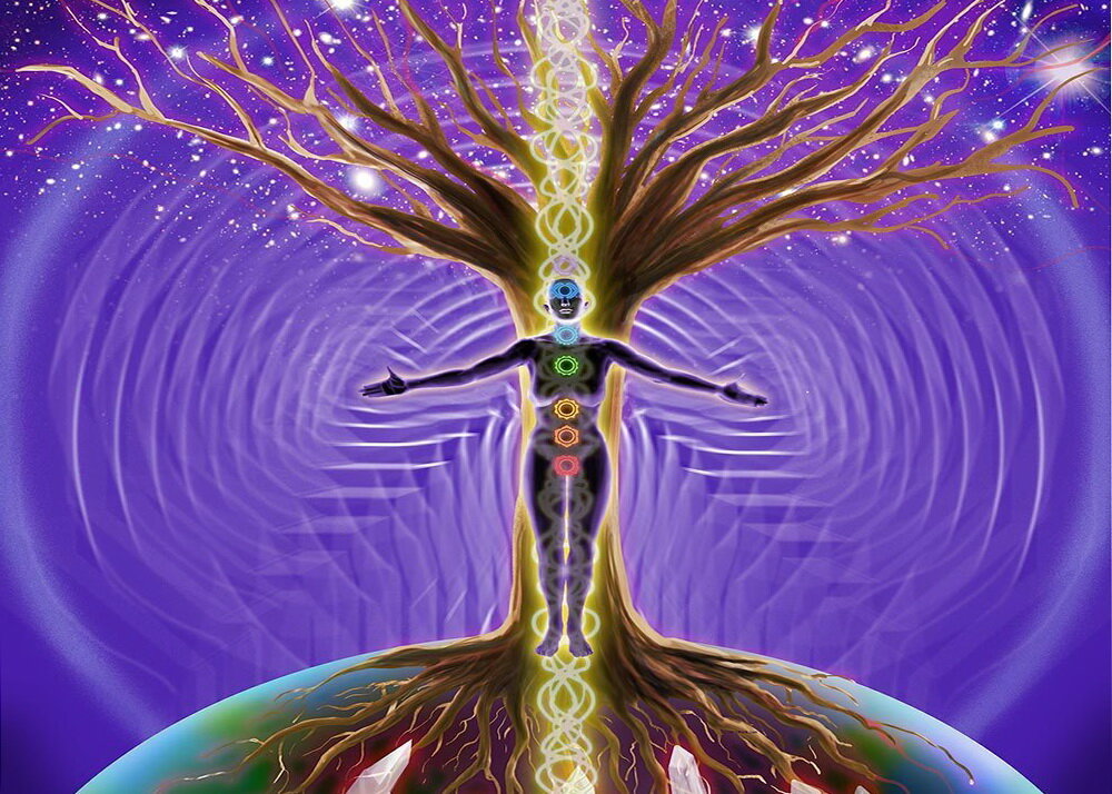 Фото: Яндекс картинки