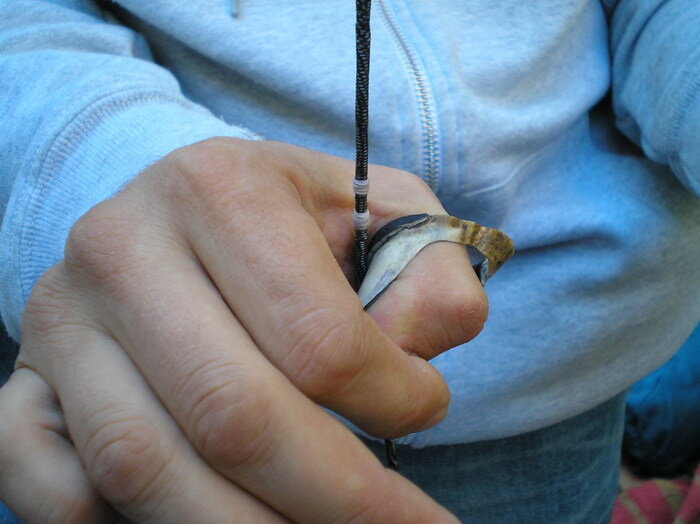 Изображение из открытых источников Яндекса