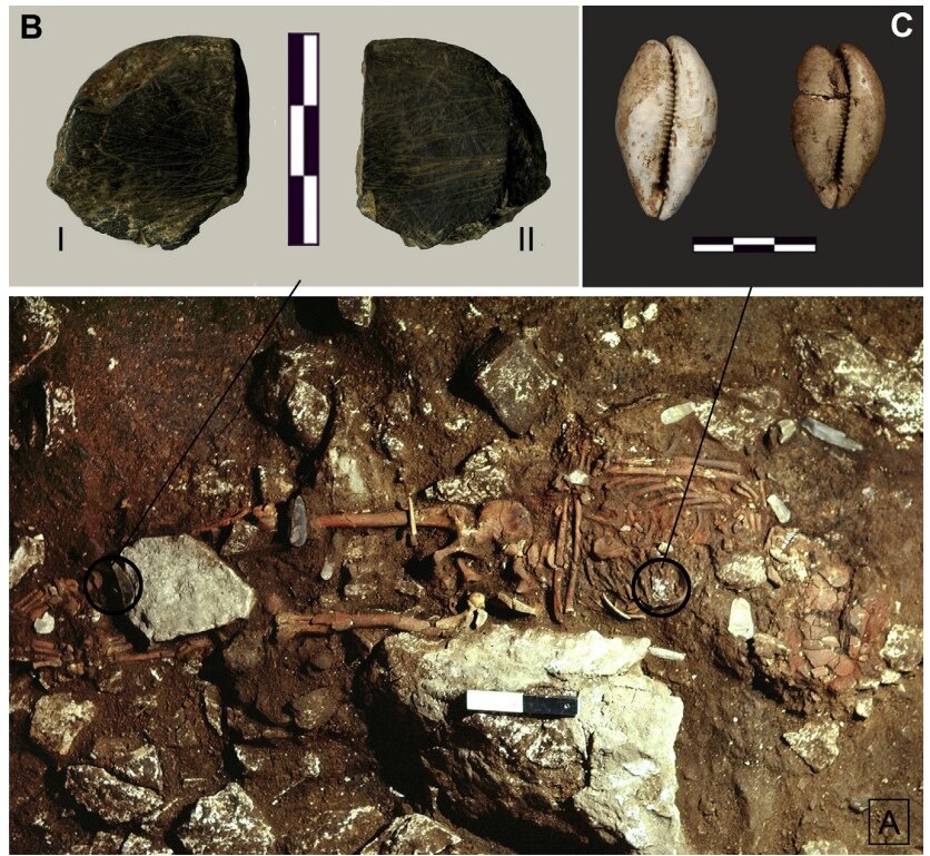 А - скелет подростка из Пальиччи. B - кусок оксида марганца; С - раковины, находившиеся на груди подростка.