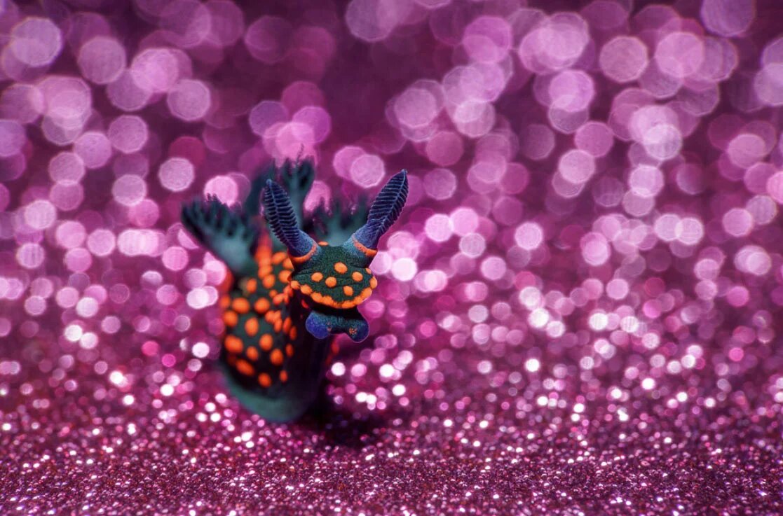  ��������, ��������� ����������� ������ ������� �����, ���������, ��� �� �������� ��� ����� ����� 500 ����� ��������.-8