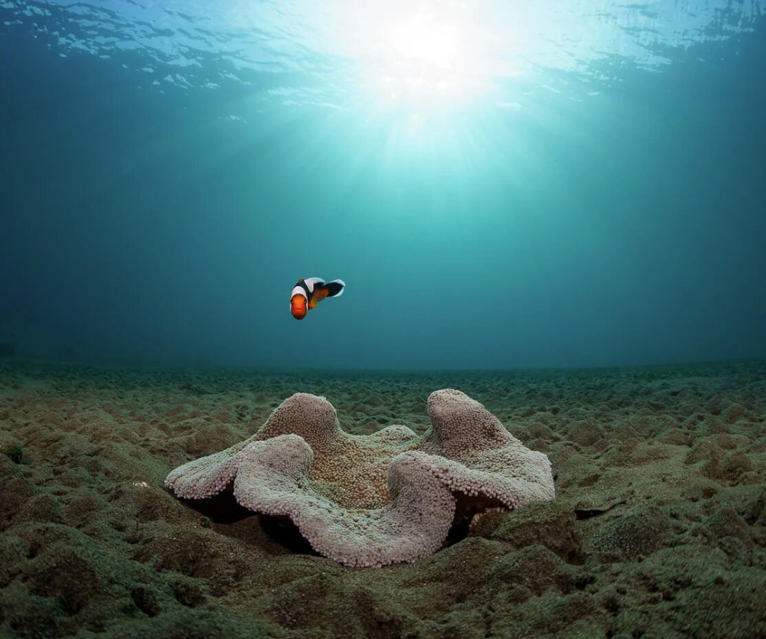  ��������, ��������� ����������� ������ ������� �����, ���������, ��� �� �������� ��� ����� ����� 500 ����� ��������.-9