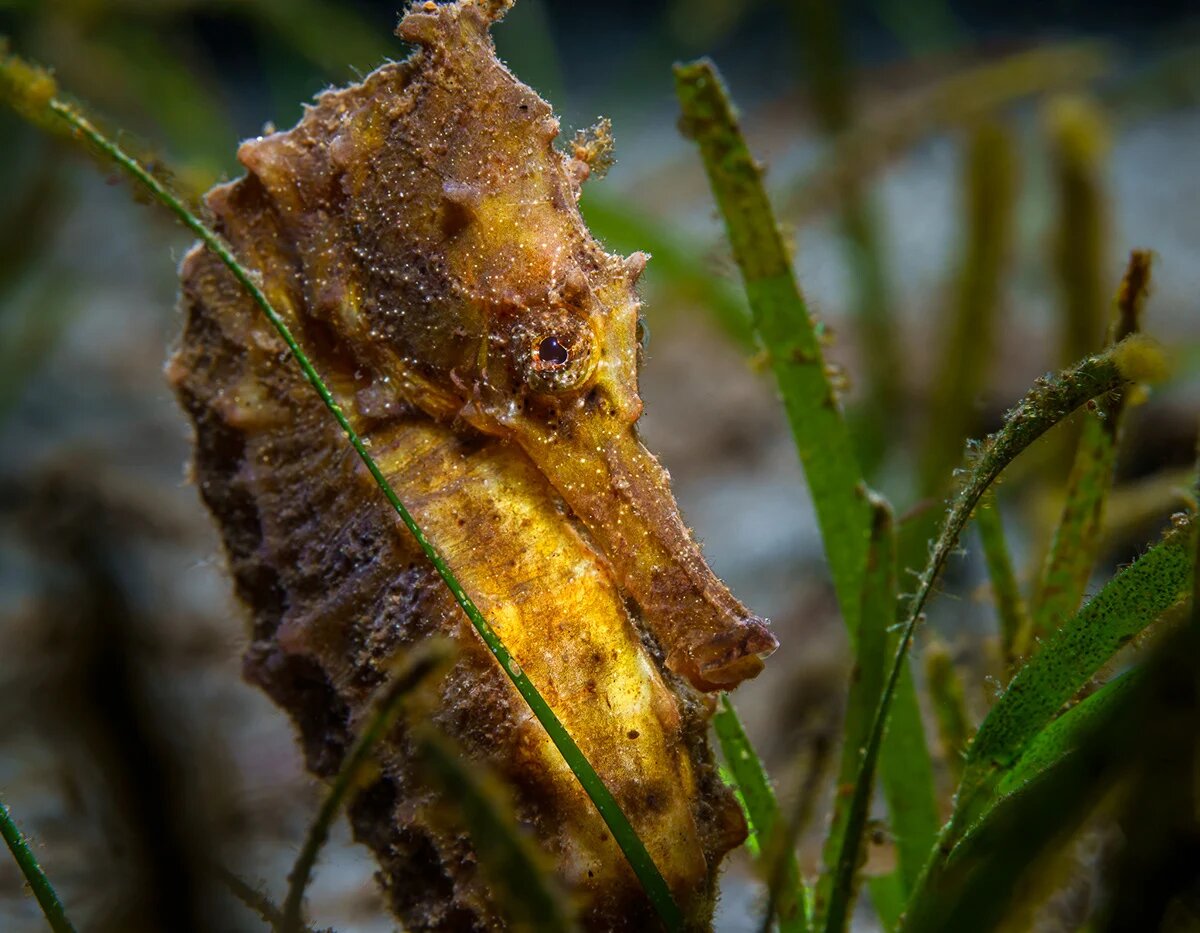  ��������, ��������� ����������� ������ ������� �����, ���������, ��� �� �������� ��� ����� ����� 500 ����� ��������.-7