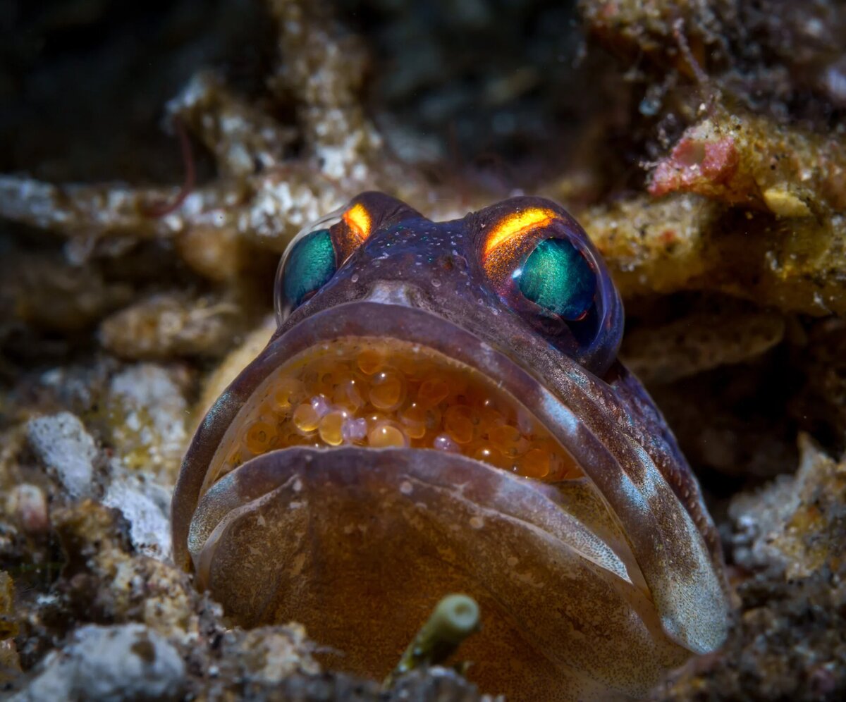  ��������, ��������� ����������� ������ ������� �����, ���������, ��� �� �������� ��� ����� ����� 500 ����� ��������.-6