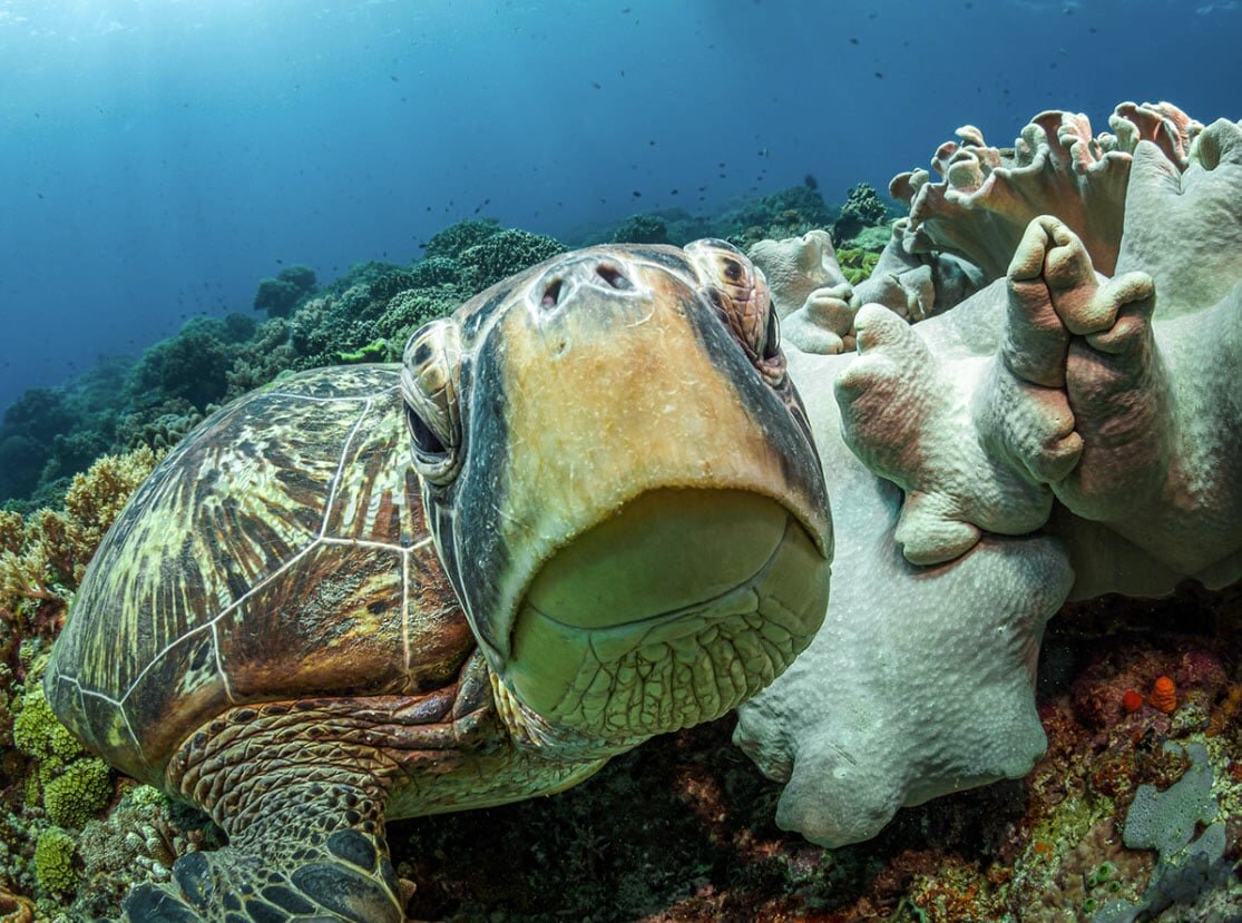  ��������, ��������� ����������� ������ ������� �����, ���������, ��� �� �������� ��� ����� ����� 500 ����� ��������.-11