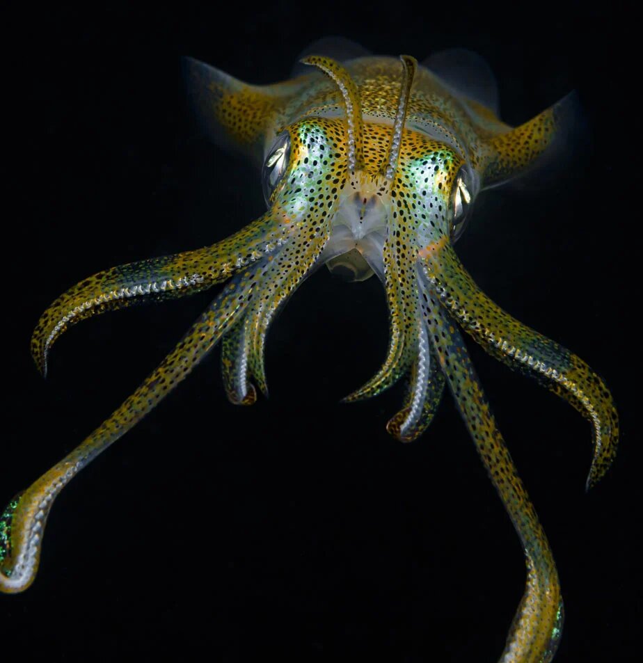  ��������, ��������� ����������� ������ ������� �����, ���������, ��� �� �������� ��� ����� ����� 500 ����� ��������.-10