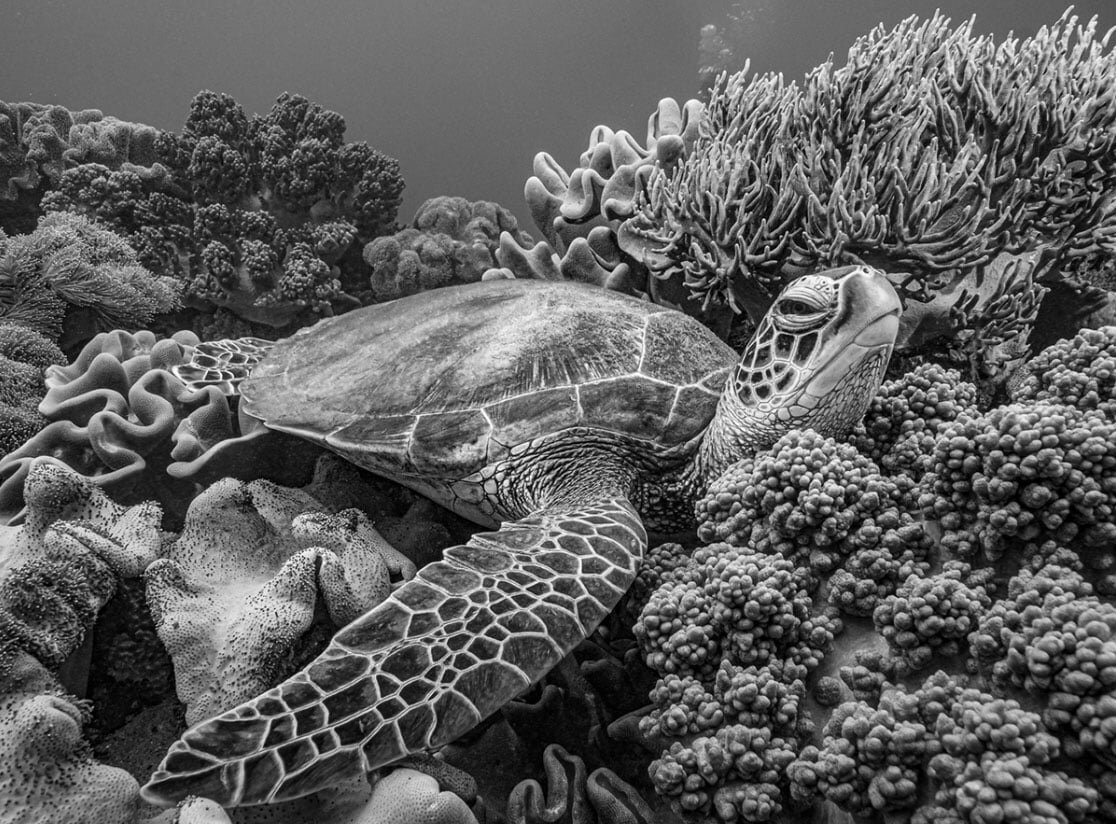  ��������, ��������� ����������� ������ ������� �����, ���������, ��� �� �������� ��� ����� ����� 500 ����� ��������.-13