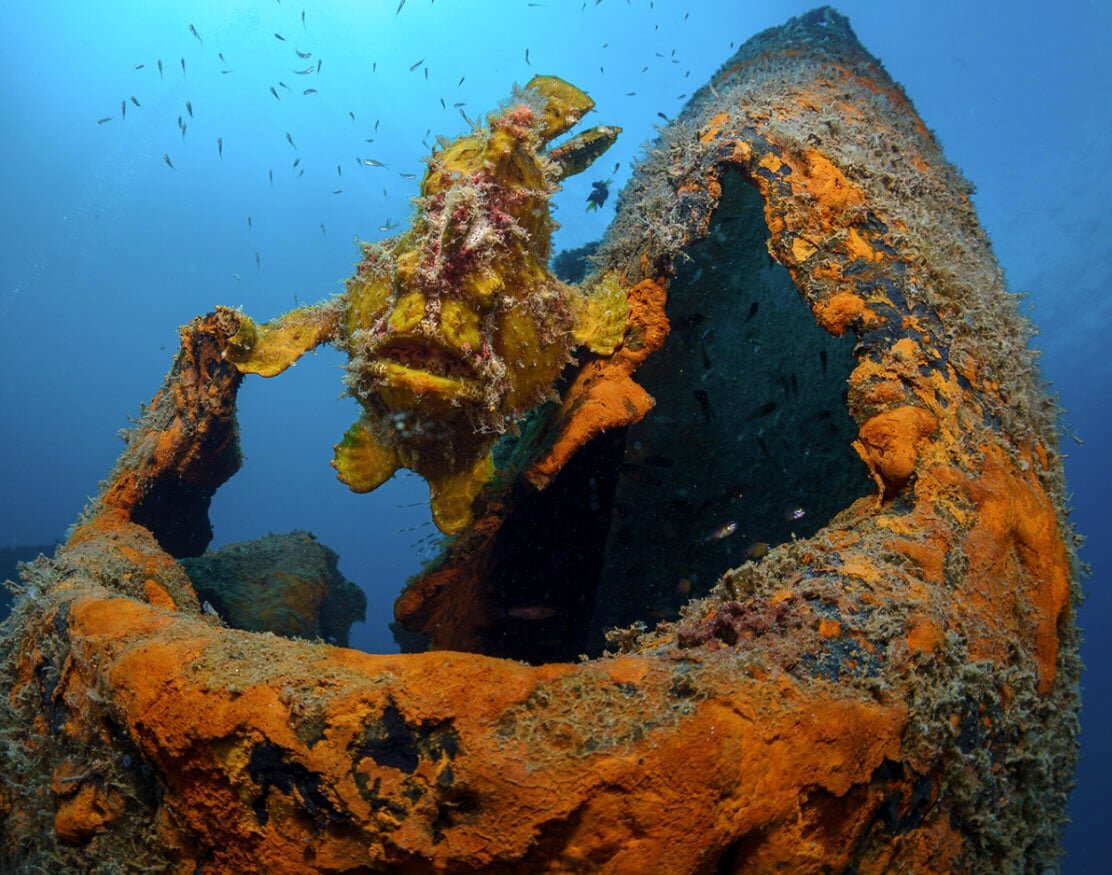  ��������, ��������� ����������� ������ ������� �����, ���������, ��� �� �������� ��� ����� ����� 500 ����� ��������.-12