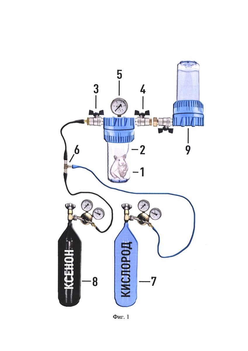 — Способ сохранения органов и тканей в составе целостного организма в жидкости при температурах ниже 0°С под давлением в среде инертного газа