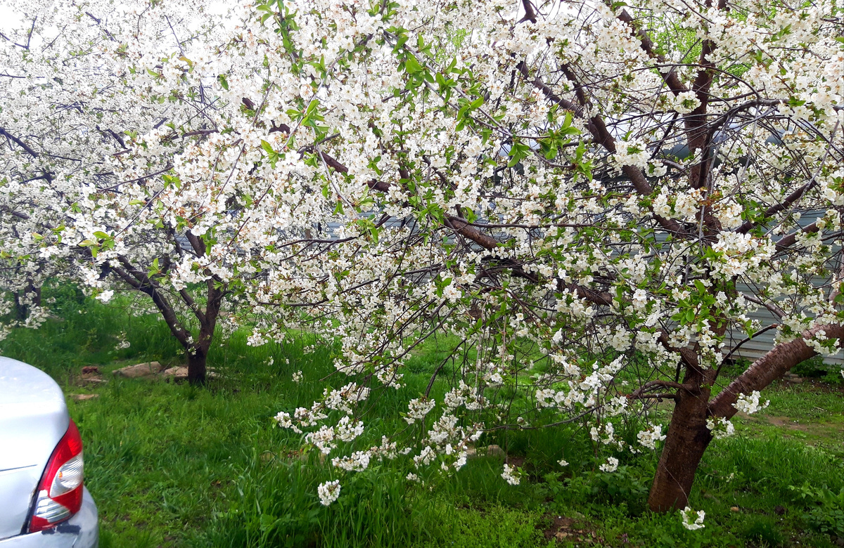 фото автора