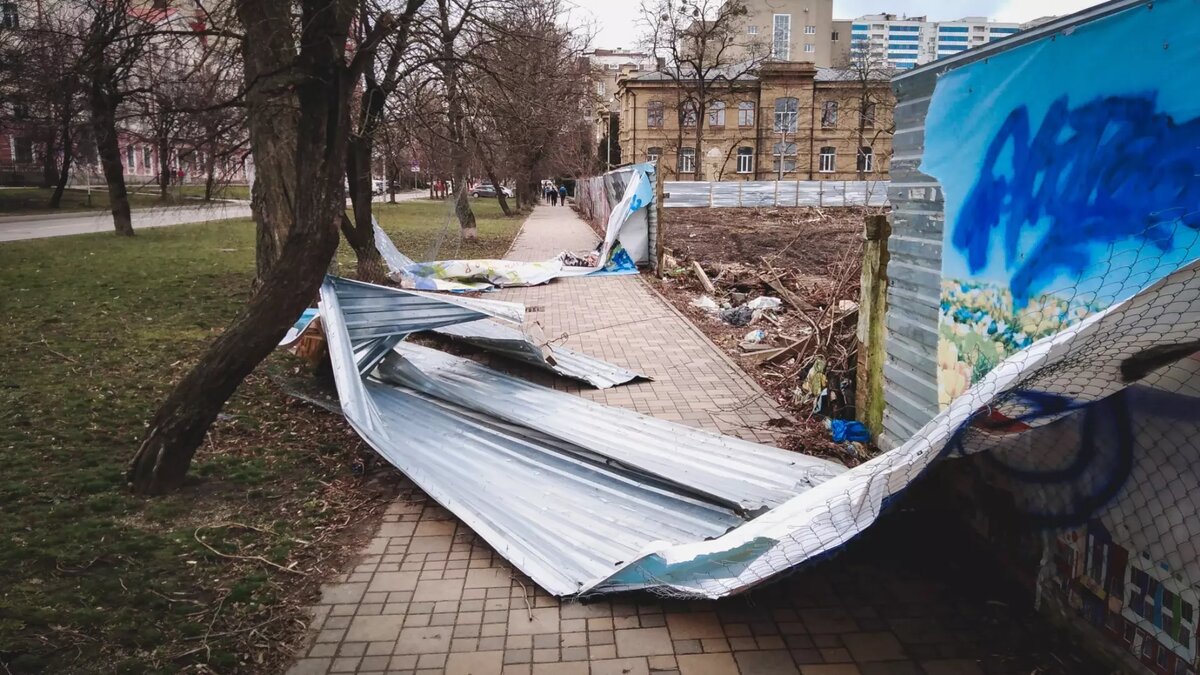 Ветер повалил десятки деревьев, заборы и дорожные знаки в Ростове |  RostovGazeta.ru | Дзен