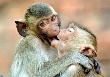 Картинка из инета 