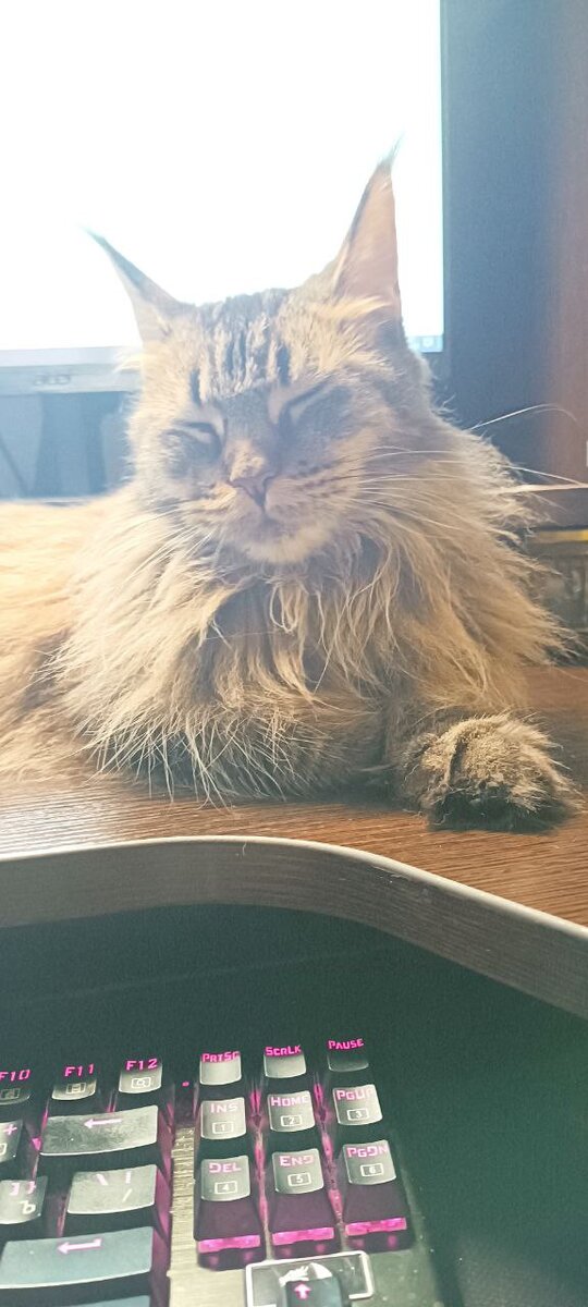 А это я, если вы вдруг забыли. Лежу, хорошо мне