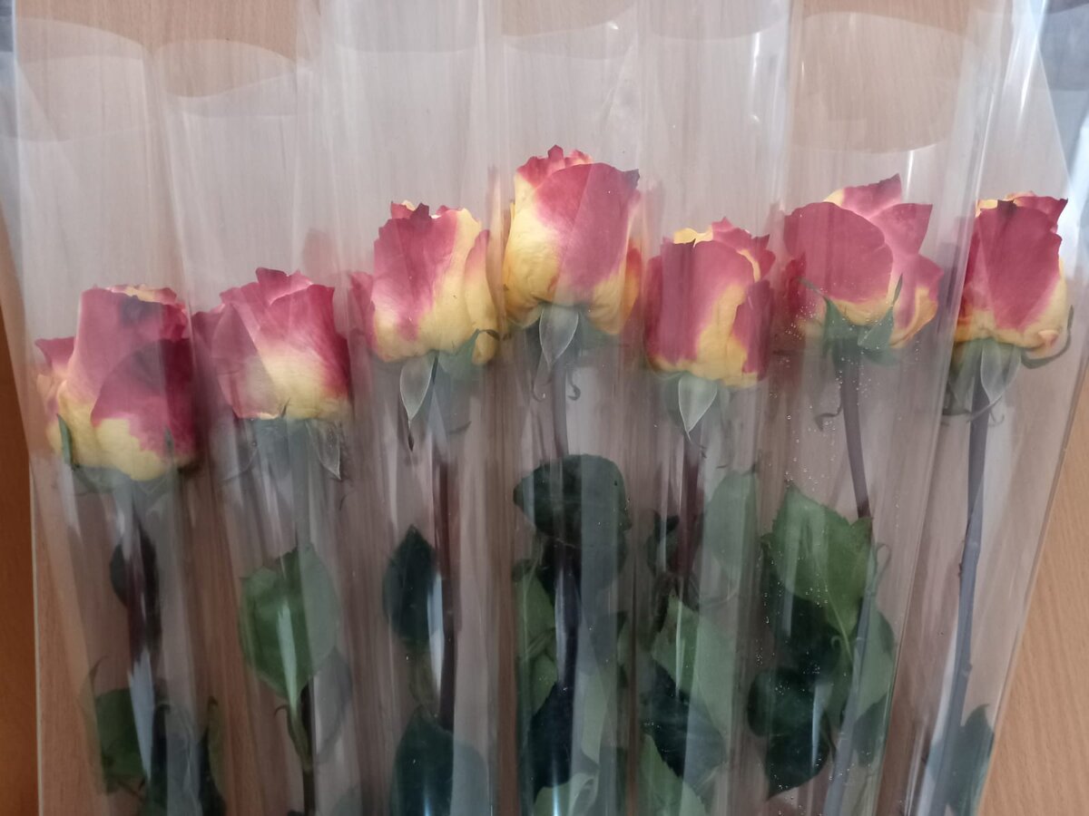 И остальным учителям 