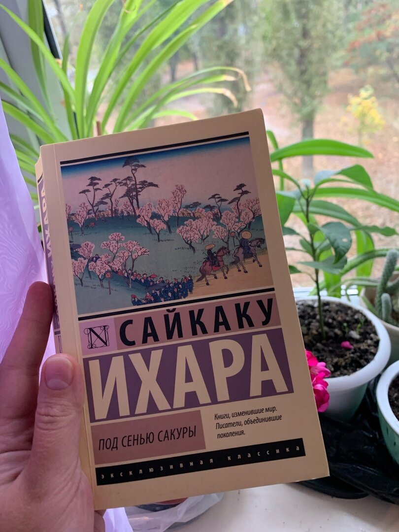 Краткий литературный обзор книги Сайкаку Ихара 