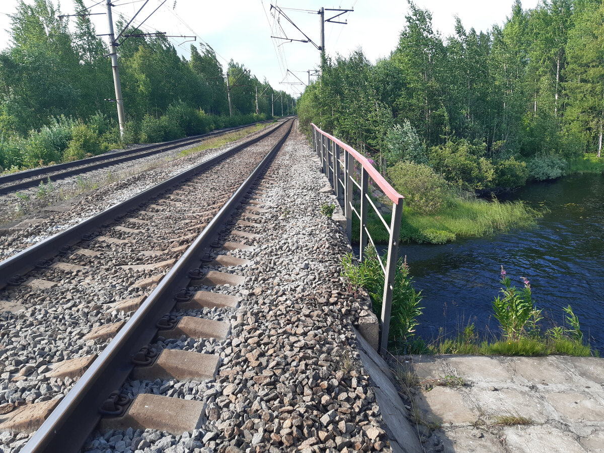 жд мост через речку Сиг