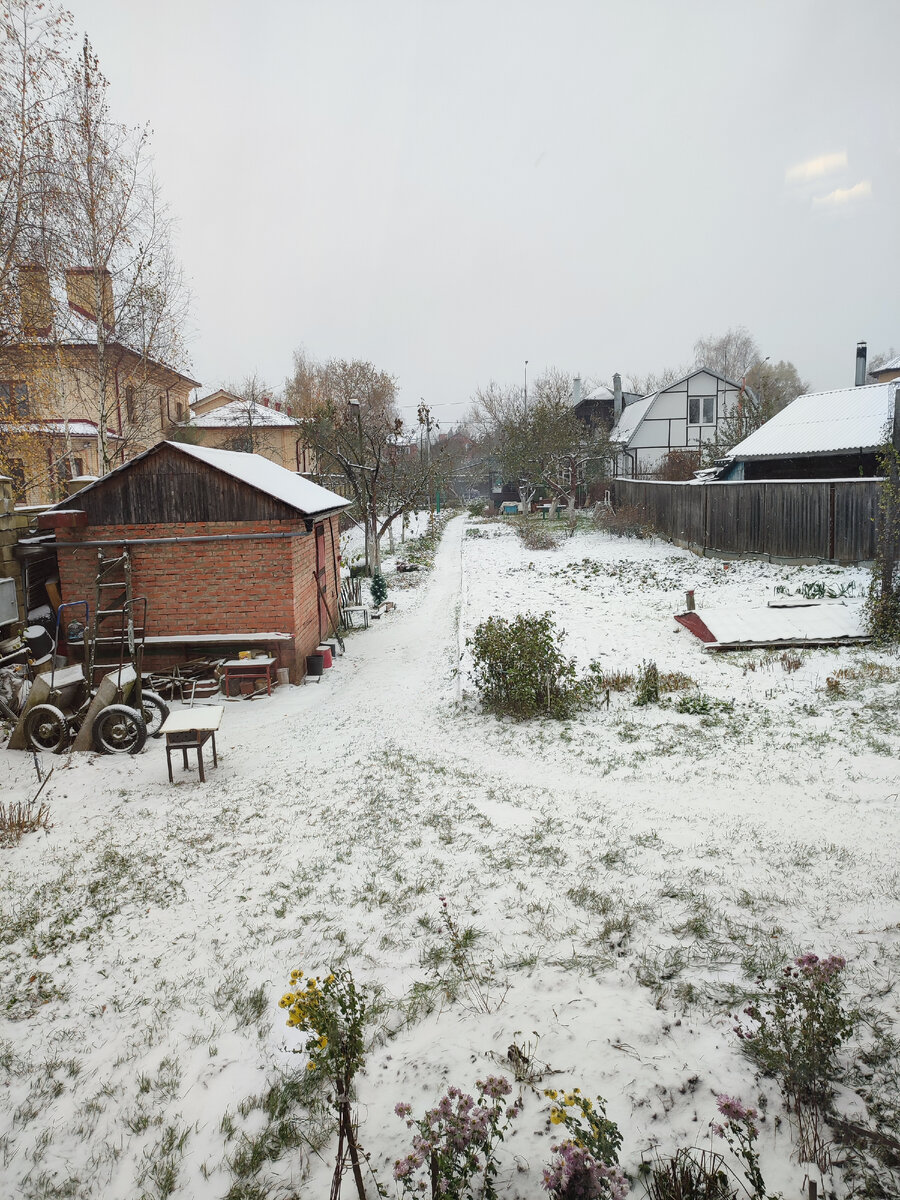 Первый снег выпал в Подмосковье