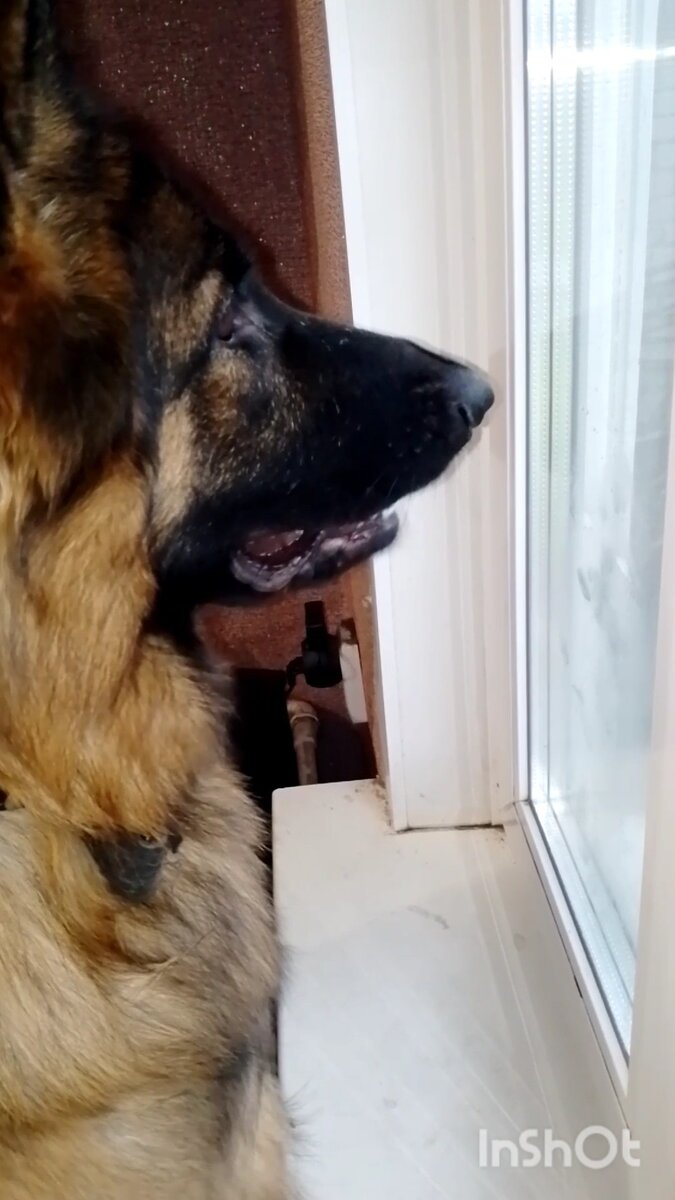 Личное фото