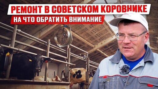 Переоборудование старого советского коровника | Обустройство коровника | Содержание КРС