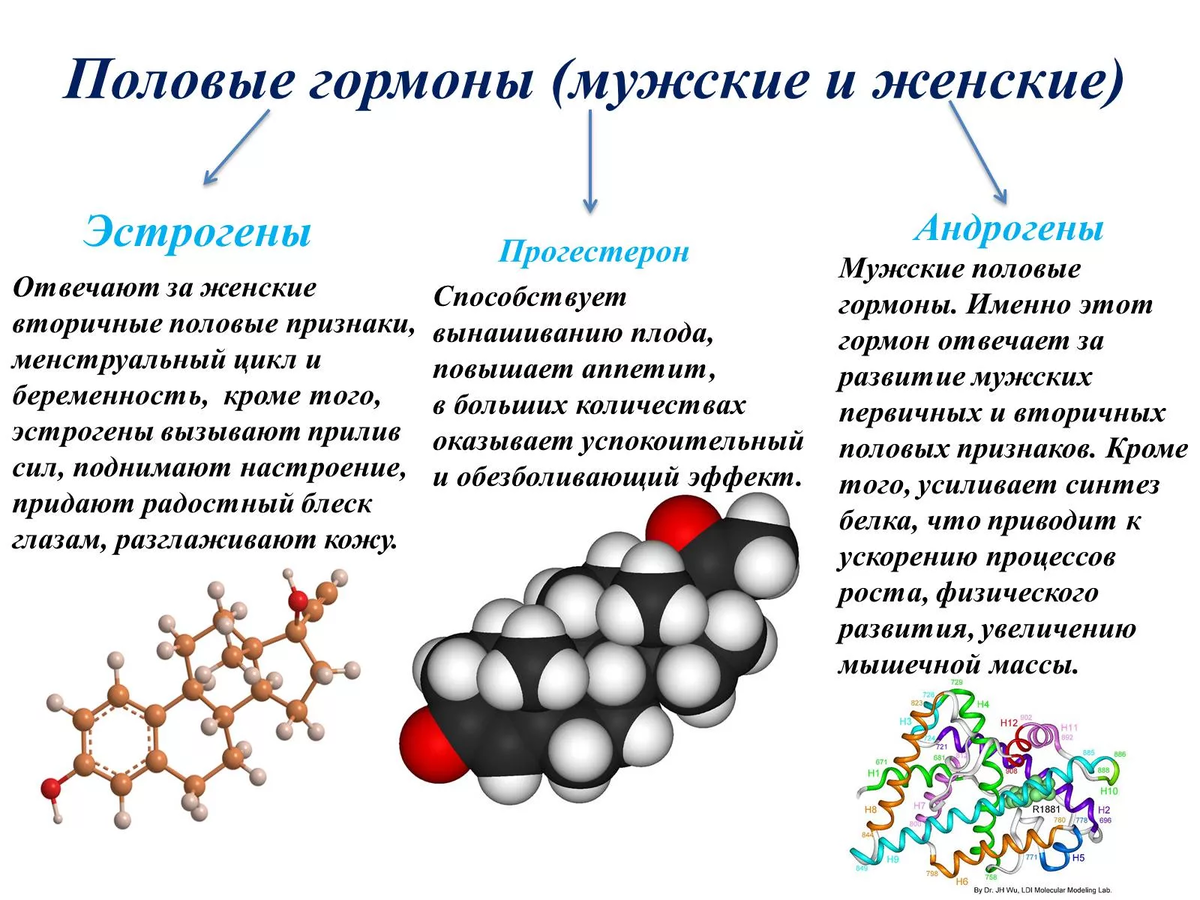 Лечение импотенции у мужчин в Санкт-Петербурге - клиника НЕОМЕД