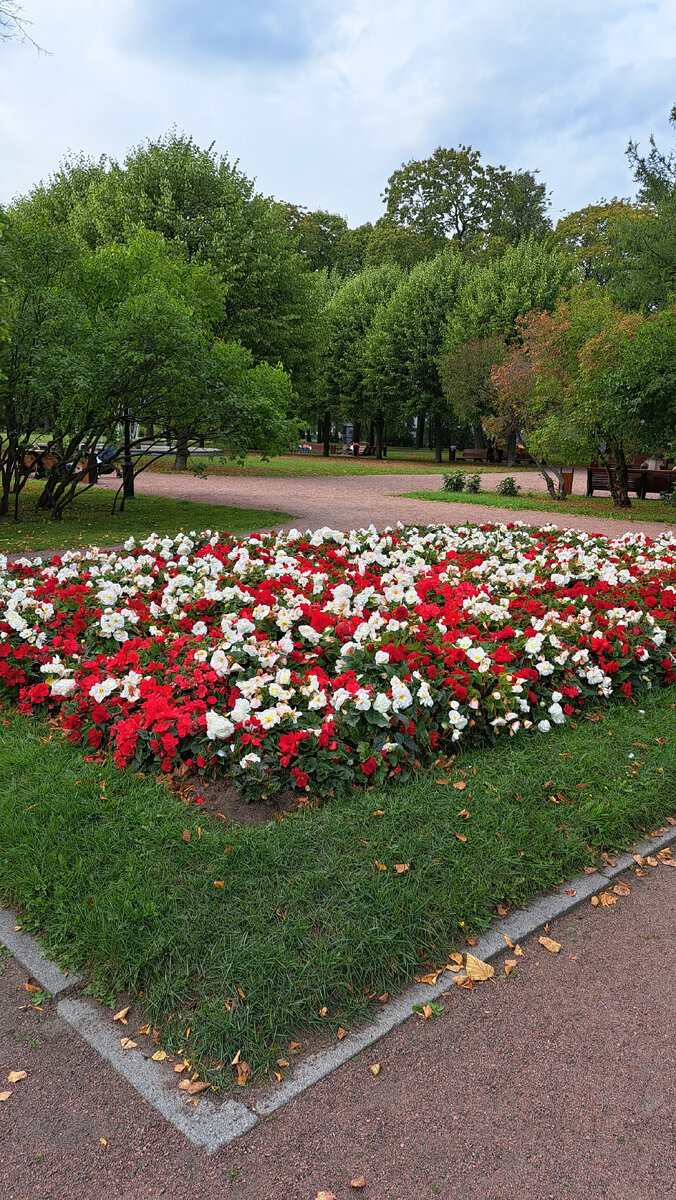 Все фото\видео мои