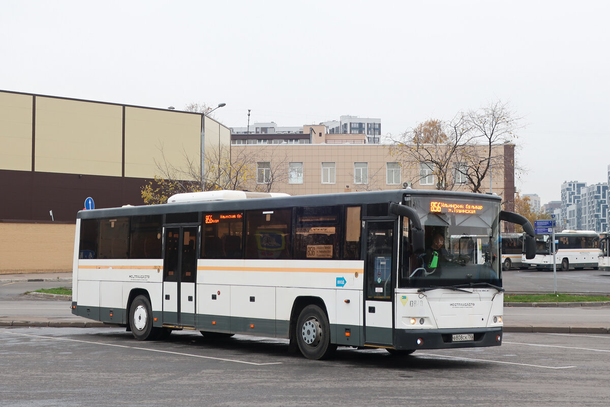 5 самых коротких маршрутов автобусов из области в Москву | Колесо  транспортного обозрения | Дзен