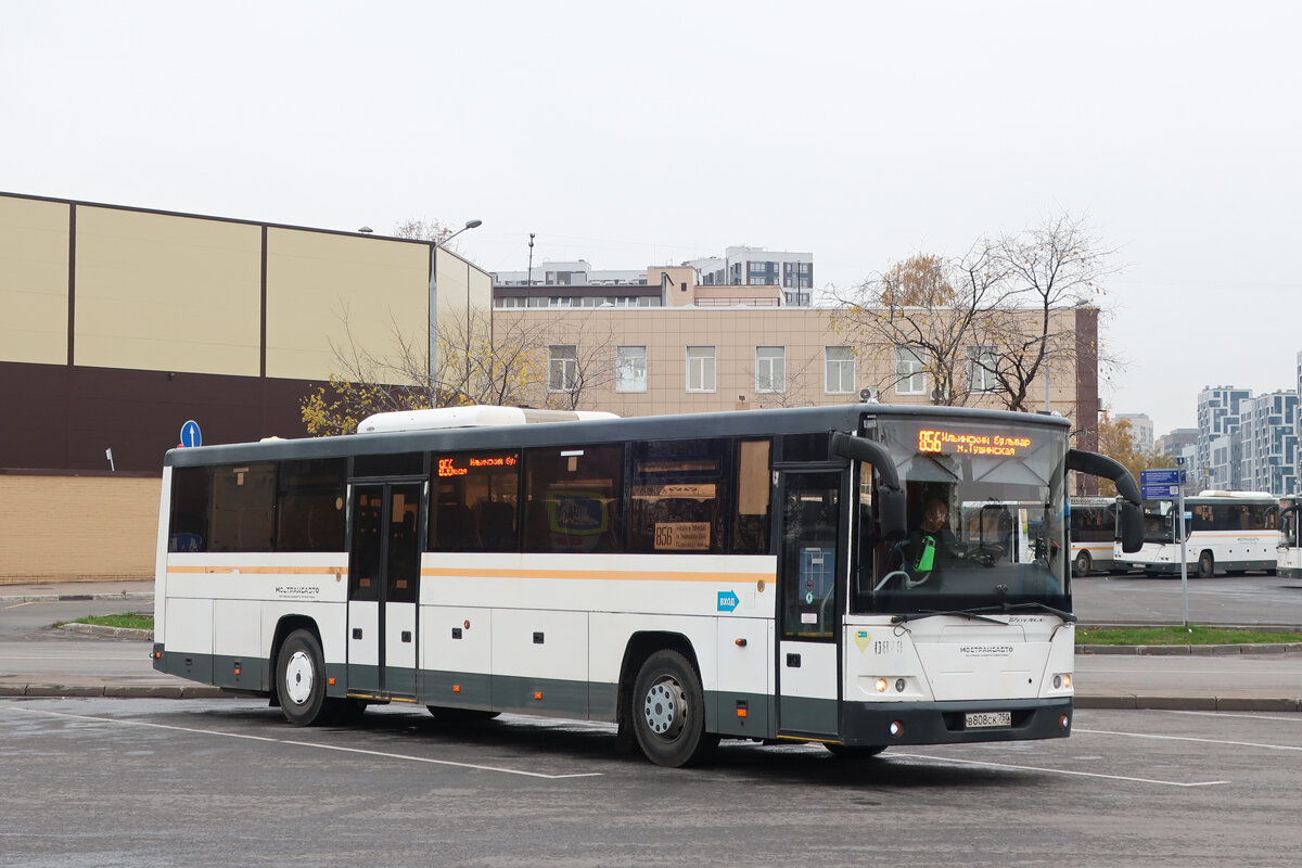 Автобус ЛиАЗ-5250 на маршруте №856: метро "Тушинская" - Красногорск (микрорайон Павшинская Пойма).