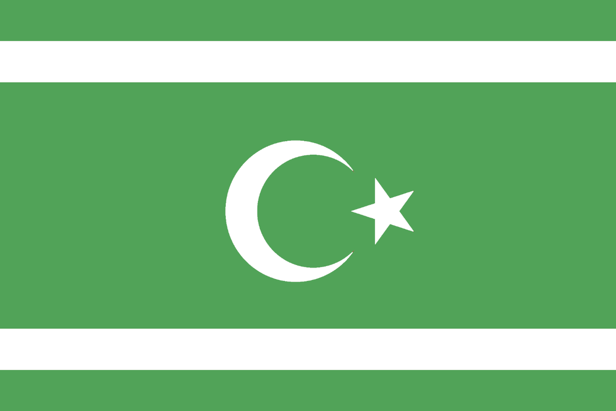 Флаг исламизированного Израиля