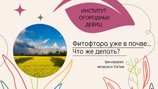 Если фитофтора в почве, чем подавить развитие возбудителя болезни?