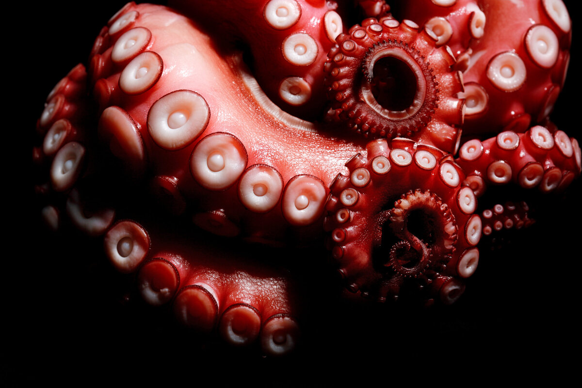 Фото: http://americanmind.org/wp-content/uploads/2022/02/GettyImages-161839873-scaled.jpg