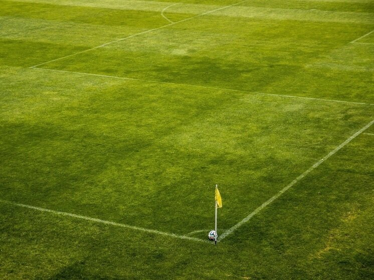 На чемпионате Франции по футболу случилось происшествие при участии болельщиков, которые кинули петарду во вратаря другой команды.

В рамках восьмого тура Первой лиги Франции состоялся матч между «Монпелье» и «Клермоном». Болельщики хозяев во время добавленного ко второму тайму времени кинули во вратаря гостей Мори Диава петарду с трибун. В итоге голкипер потерял сознание.

К пострадавшему сразу прибежали медики. Игрока унесли с поля на носилках. Судьи приняли решение прервать матч из-за беспорядков фанатов.

