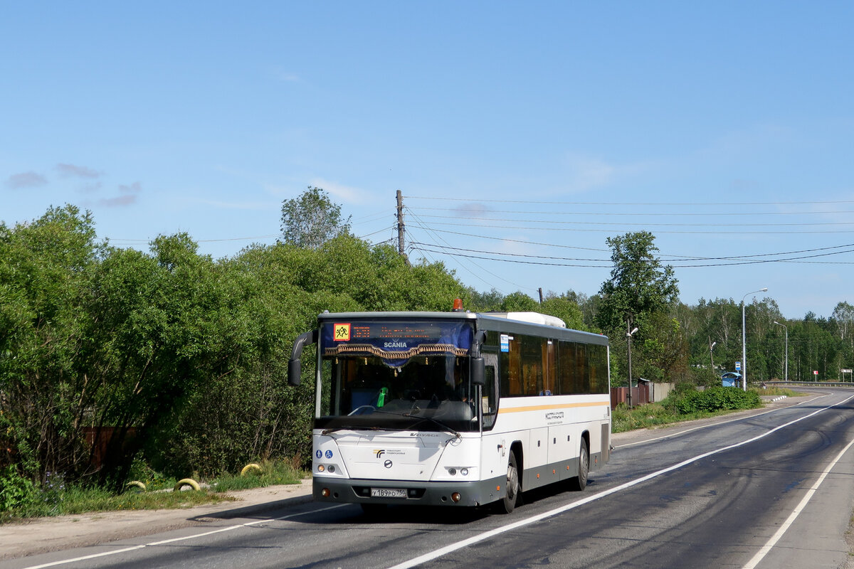 Автобус шатура мишеронский сегодня. Длинный автобус 16. Длинные автобусы коричневые Моршанск 2005.