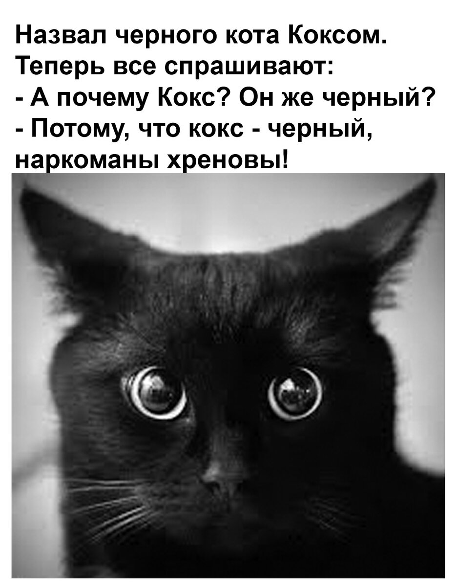 источник Яндекс-картинки