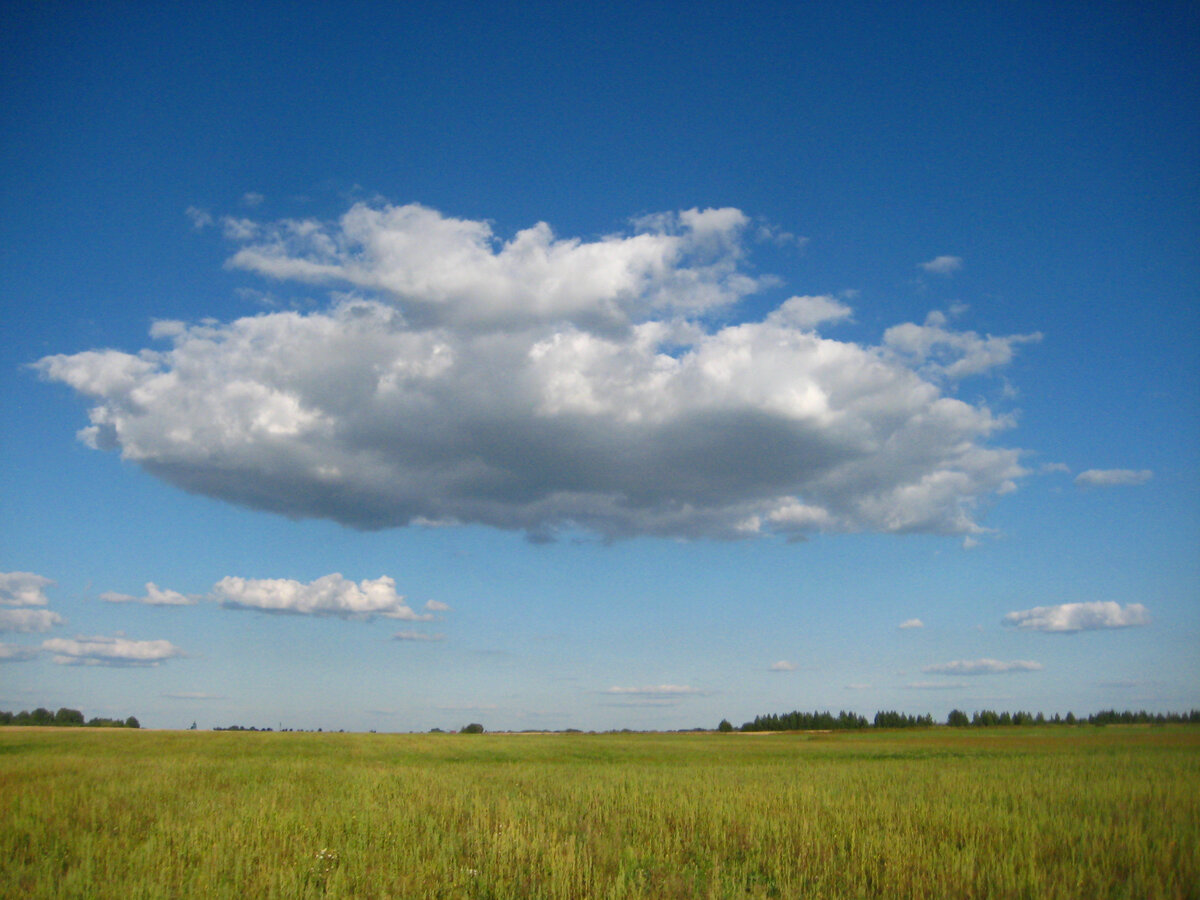в полях. Владимирщина.