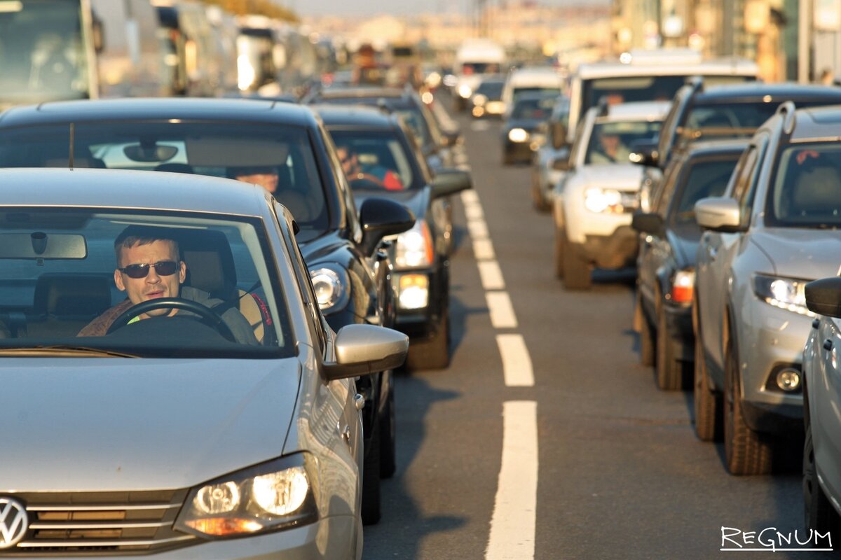    Дарья Драй © ИА Регнум