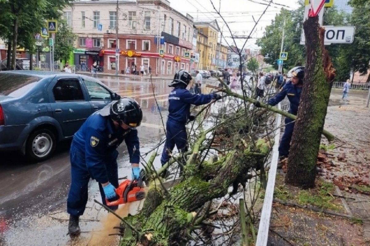    На Орловщине 259 населённых пунктах остались без света из-за непогоды