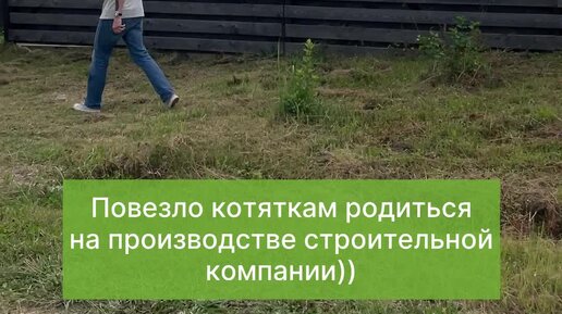 ЛесоБиржа - строительство и отделка | 💥 У АБОРИГЕНОВ ТЕПЕРЬ СОБСТВЕННЫЙ ...